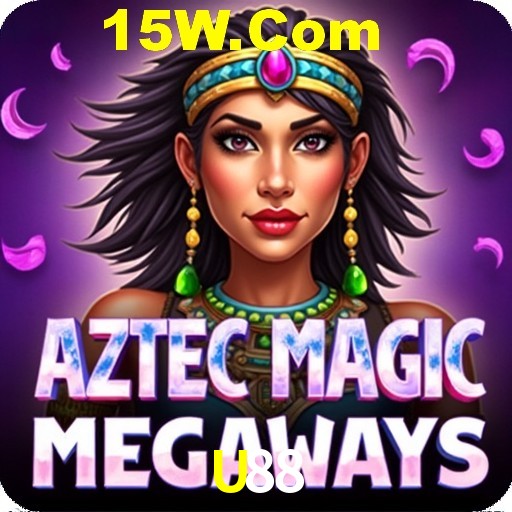 Interface Premium U88